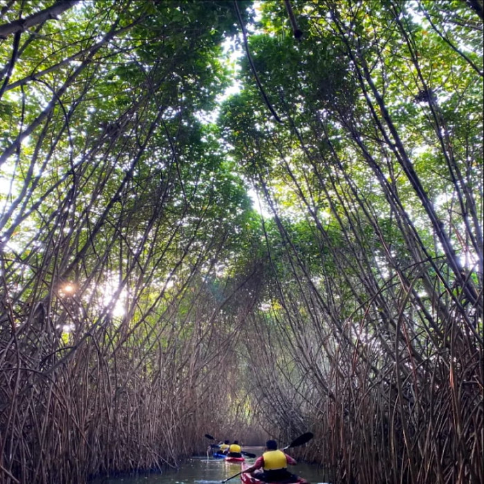 Backwater activities — 3
