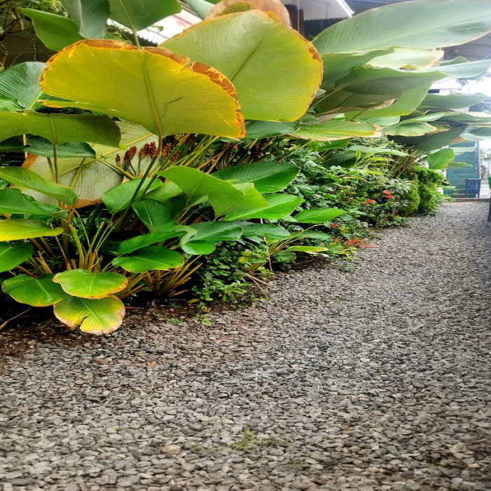 Varkala Homestay — 3
